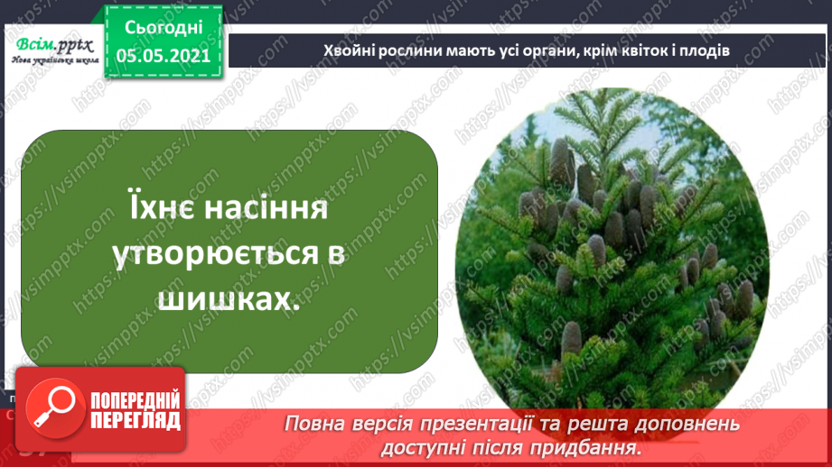 №035 - Хвойні рослини.10 №035 - Хвойні рослини.10