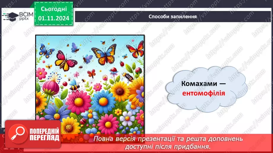 №33 - Квіткові. Квітка і суцвіття. Запилення (продовження).10 №33 - Квіткові. Квітка і суцвіття. Запилення (продовження).10
