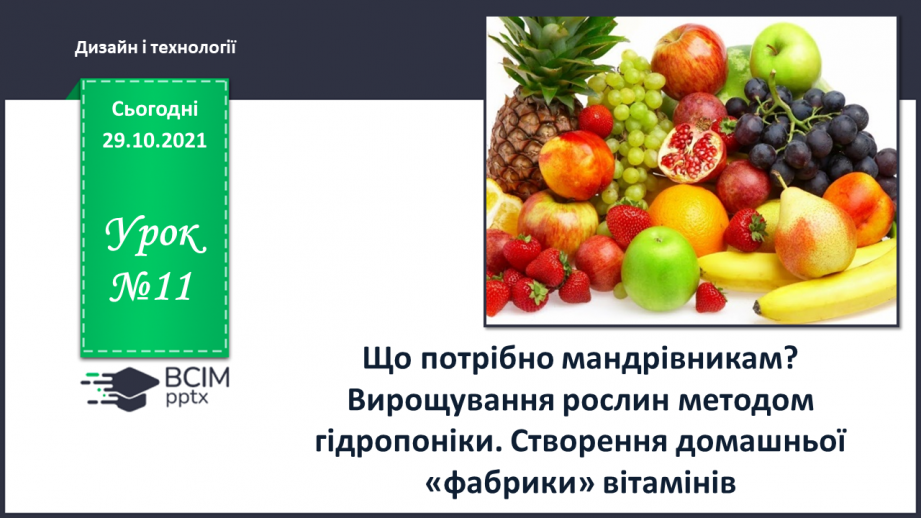 №11 - Що потрібно мандрівникам? Вирощування рослин методом гідропоніки. Створення домашньої «фабрики» вітамінів0