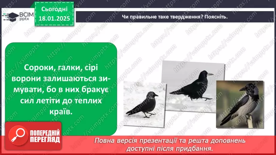 №0055 - Як зимують птахи та звірі24 №0055 - Як зимують птахи та звірі24