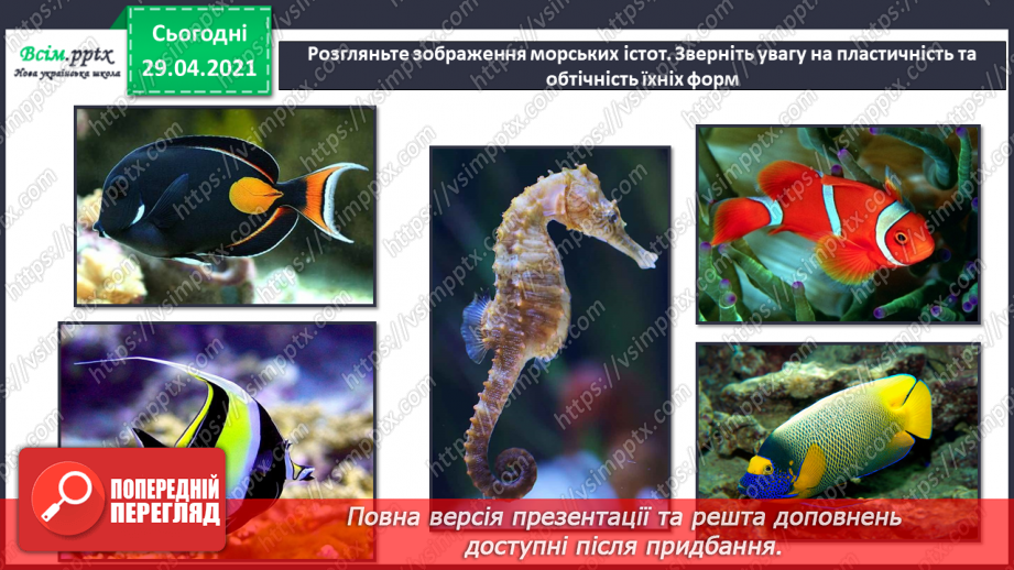 №13 - Мешканці підводного світу. Рельєф. Створення пластичним способом рельєфного зображення мешканців підводного світу8