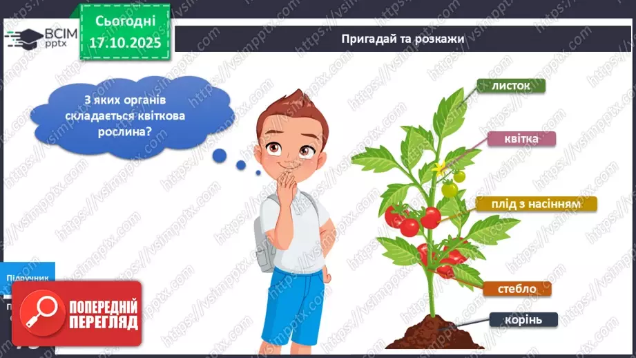 №026 - Досліджуємо як поширюються плоди та насіння в природі.4 №026 - Досліджуємо як поширюються плоди та насіння в природі.4