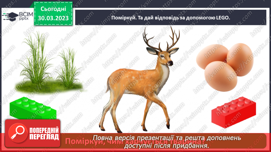 №0088 - Тварини рідного краю23 №0088 - Тварини рідного краю23