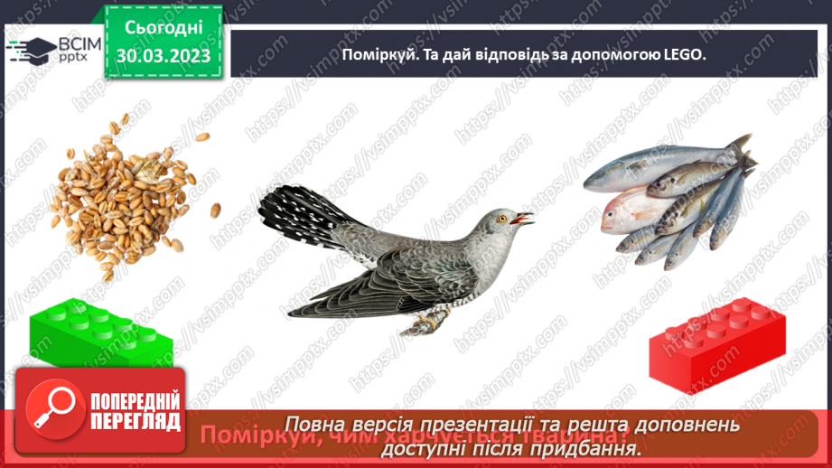 №0088 - Тварини рідного краю29 №0088 - Тварини рідного краю29