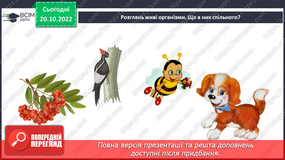 №028 - Умови існування життя. Теорії походження життя.6 №028 - Умови існування життя. Теорії походження життя.6