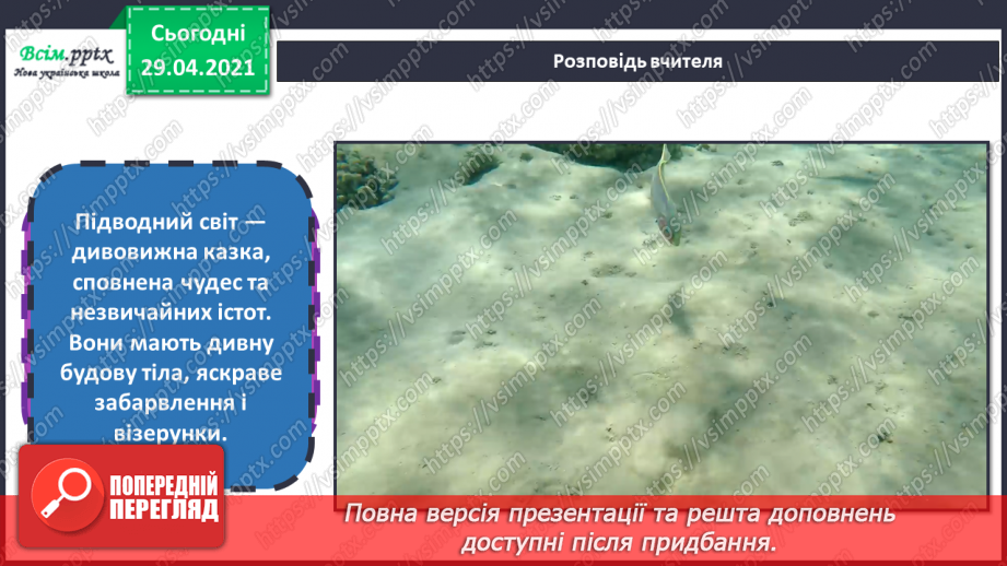 №13 - Мешканці підводного світу. Рельєф. Створення пластичним способом рельєфного зображення мешканців підводного світу4