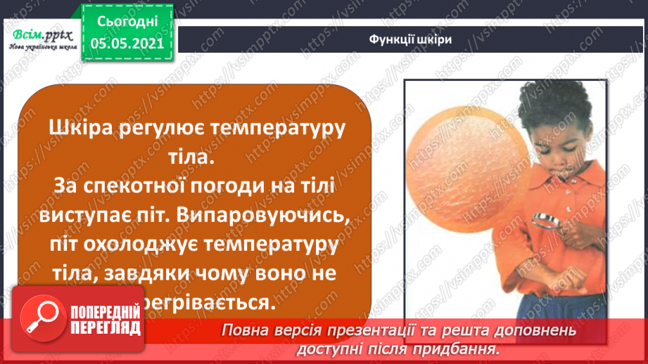 №054 - Функції шкіри.14 №054 - Функції шкіри.14