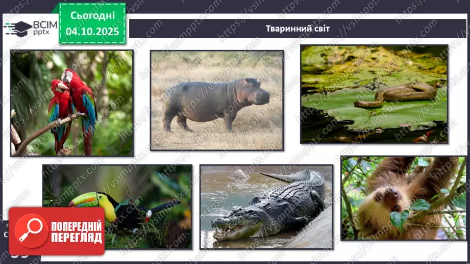 №0020 - Природні зони Землі.27 №0020 - Природні зони Землі.27