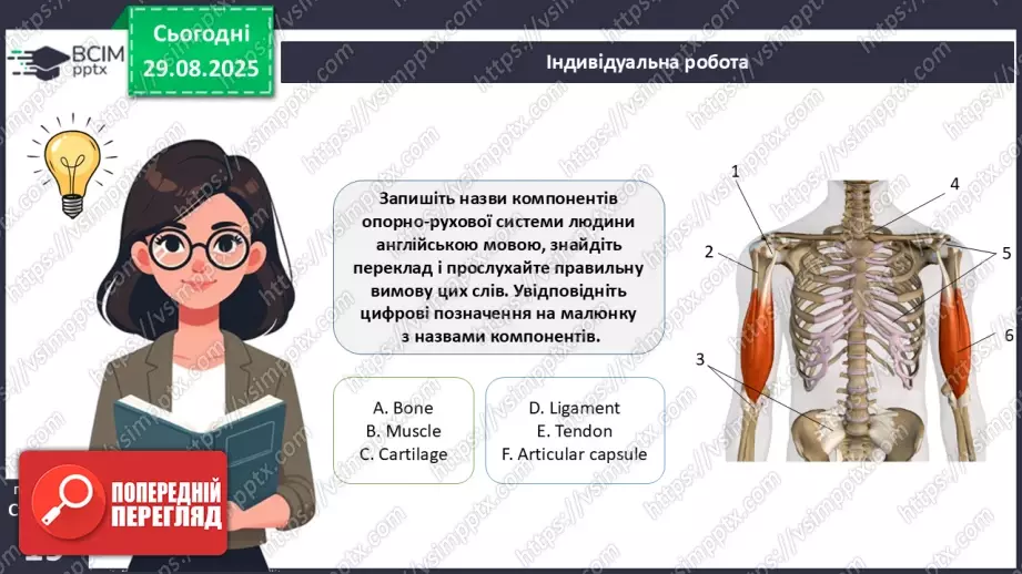 №005 - Будова, функції та особливості скелета людини.4 №005 - Будова, функції та особливості скелета людини.4