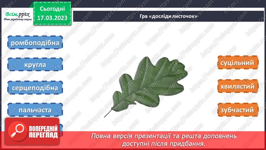 №28 - Живі листки на папері. Створення весняної листівки на тему «Бережімо природу»10 №28 - Живі листки на папері. Створення весняної листівки на тему «Бережімо природу»10