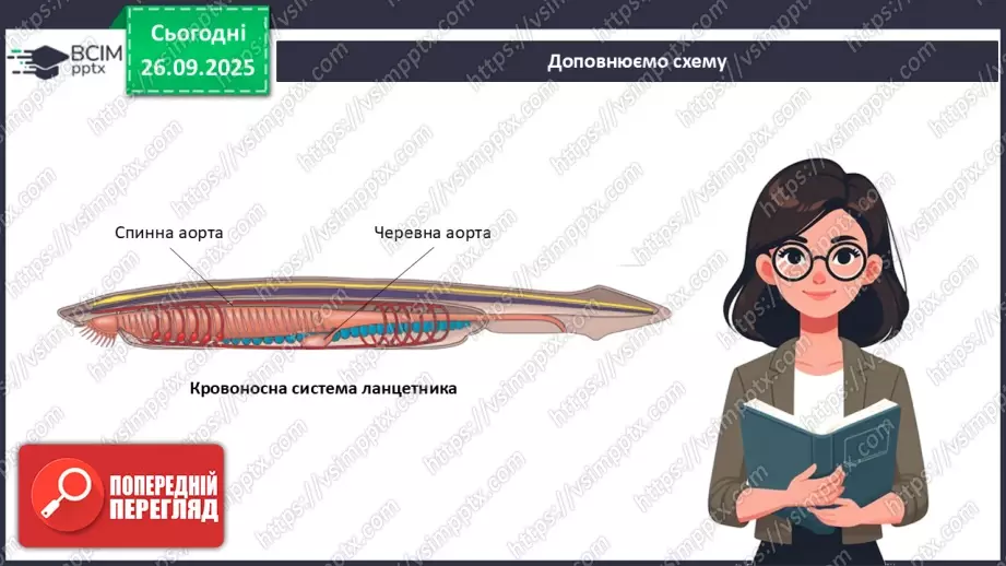№017 - Узагальнення вивченого з теми: «Обмін речовин і перетворення енергії як властивість живого. Транспорт речовин в організмі людини».21 №017 - Узагальнення вивченого з теми: «Обмін речовин і перетворення енергії як властивість живого. Транспорт речовин в організмі людини».21