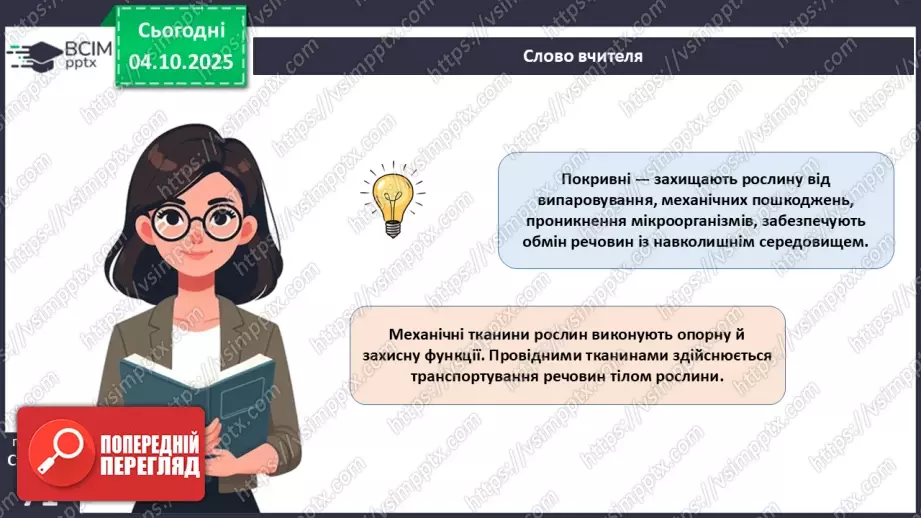 №021 - Покритонасінні рослини: тканини та будова кореня9 №021 - Покритонасінні рослини: тканини та будова кореня9