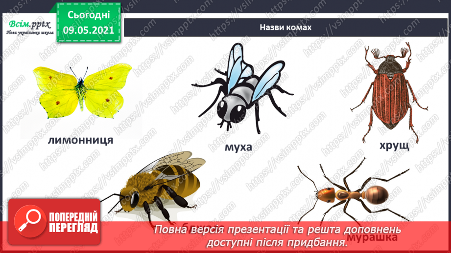 №072 - Застосовуємо знання щодня8