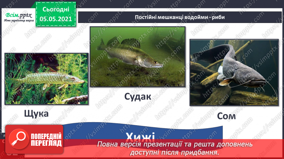 №052 - Природне угруповання — прісна водойма.24
