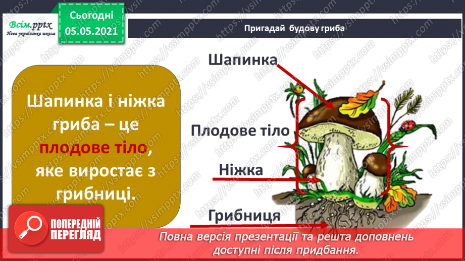 №055-56 - Узагальнення і систематизація знань учнів. Діагностична робота. Аналіз діагностичної роботи.6 №055-56 - Узагальнення і систематизація знань учнів. Діагностична робота. Аналіз діагностичної роботи.6
