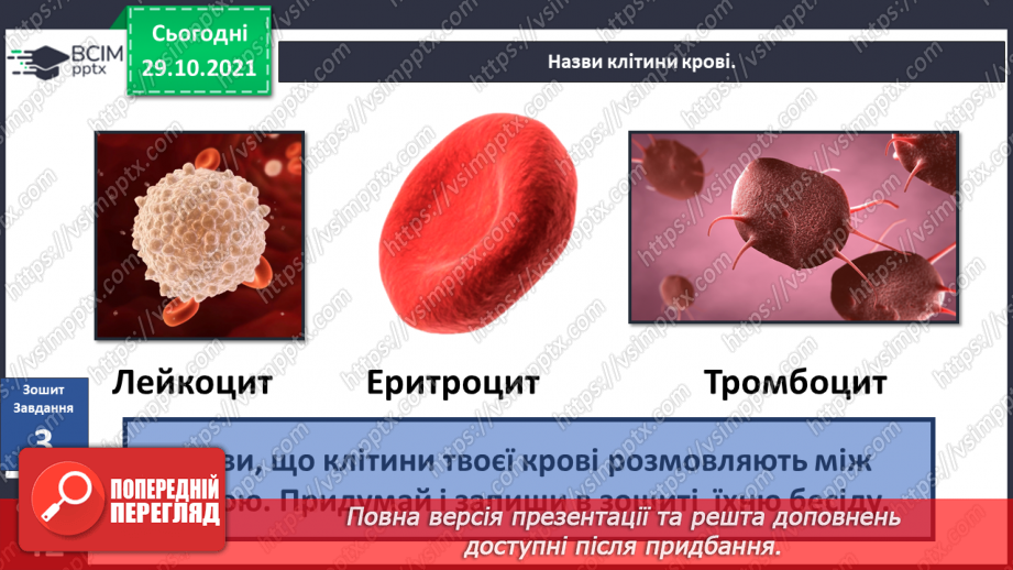 №033 - Чому кров червона?21