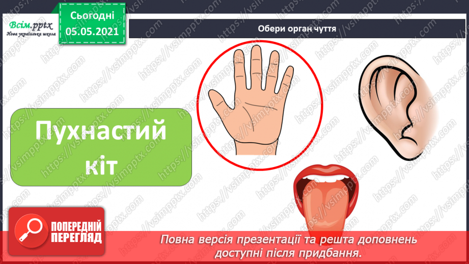 №078 - Органи чуття.16 №078 - Органи чуття.16