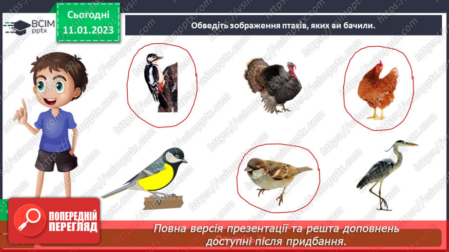 №0057 - Птахи16