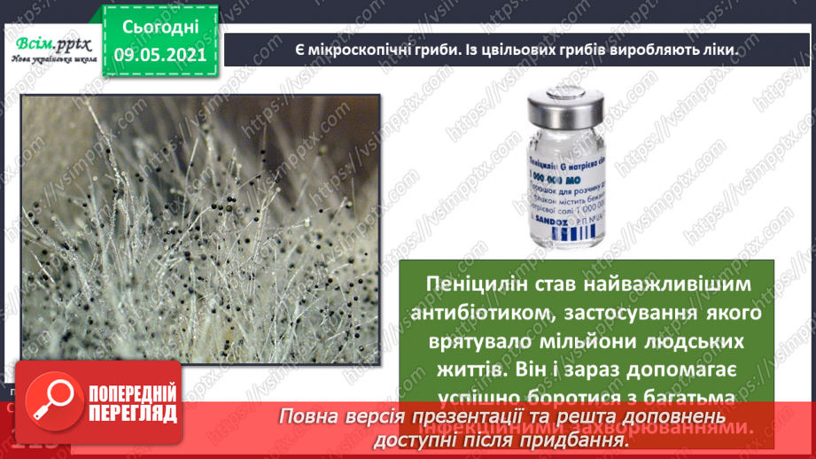 №079 - У чому загадковість світу грибів?19