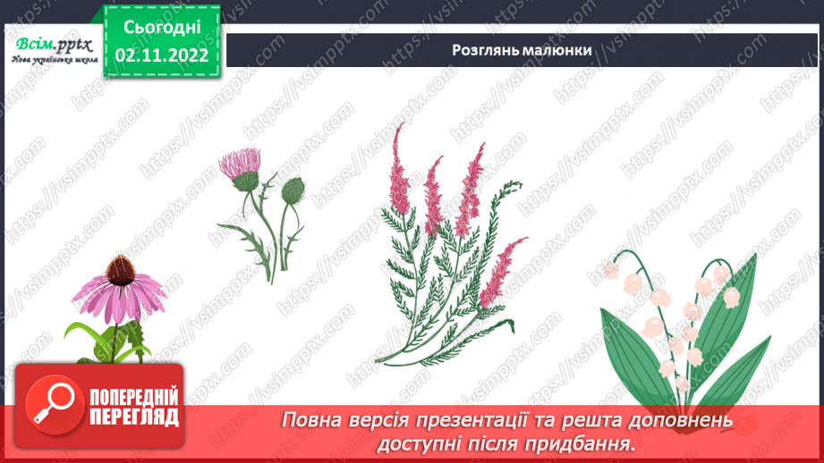№0035 - Які бувають рослини? Де вони ростуть?17