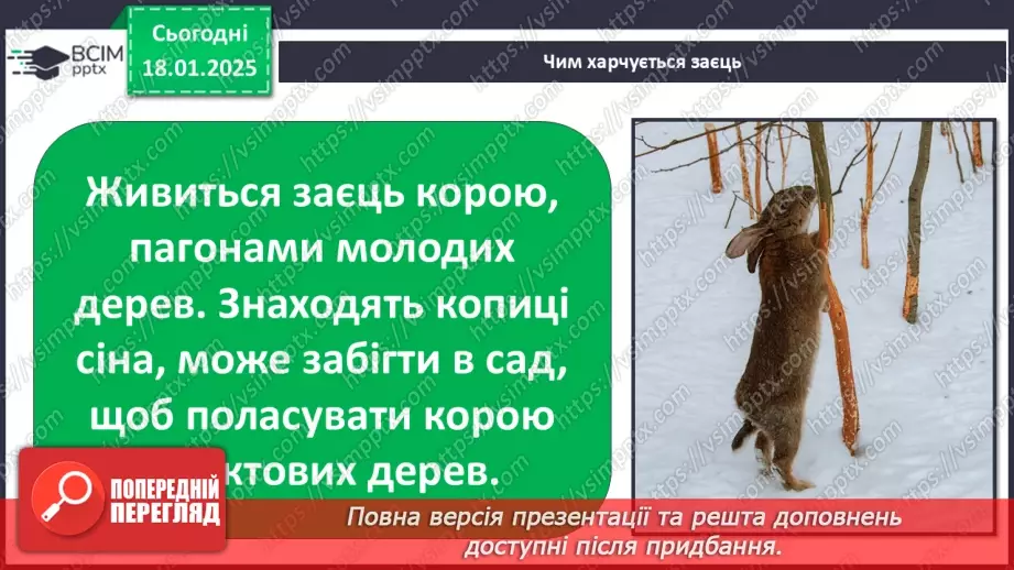 №0056 - Як зимують птахи та звірі8 №0056 - Як зимують птахи та звірі8