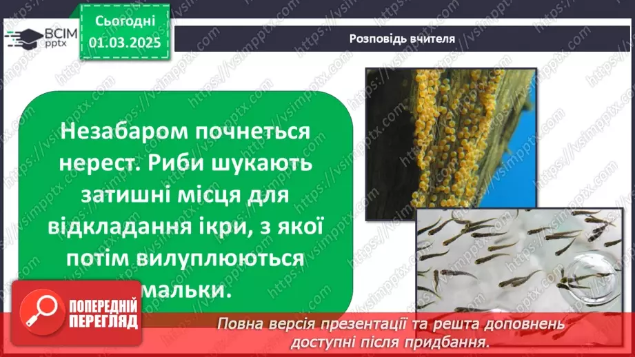 №0073 - Як змінюється життя у водоймах навесні6 №0073 - Як змінюється життя у водоймах навесні6