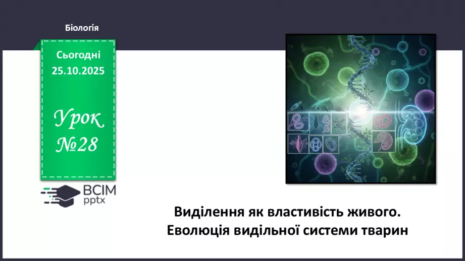 №028 - Виділення як властивість живого. Еволюція видільної системи тварин.0 №028 - Виділення як властивість живого. Еволюція видільної системи тварин.0