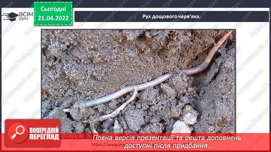 №095 - Як зі мною змінюється мій- світ? Дослідження'. «Як черв’яки розпушують грунт?»6 №095 - Як зі мною змінюється мій- світ? Дослідження'. «Як черв’яки розпушують грунт?»6