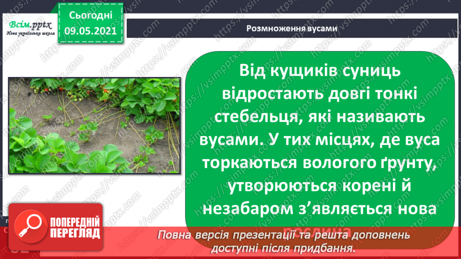 №054 - Як розмножуються рослини?25 №054 - Як розмножуються рослини?25