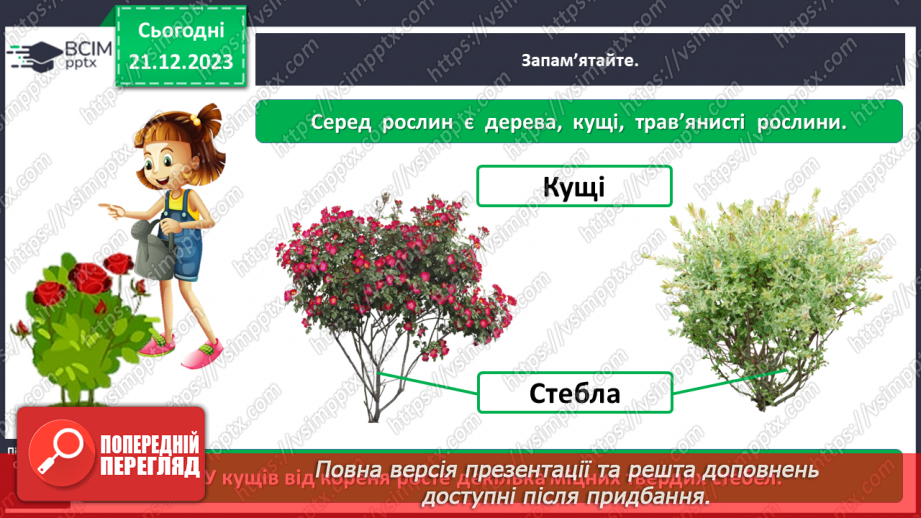 №051 - Які бувають рослини7 №051 - Які бувають рослини7