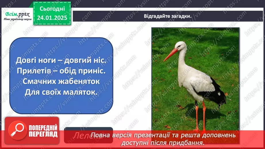 №20 - Карнавал птахів12 №20 - Карнавал птахів12