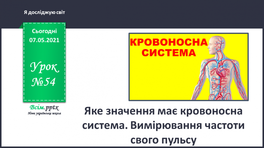 №054 - Яке значення має кровоносна система. Вимірювання частоти свого пульсу0 №054 - Яке значення має кровоносна система. Вимірювання частоти свого пульсу0