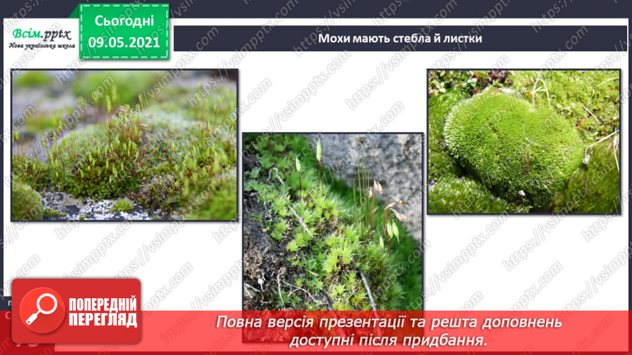 №049 - Чим особливий різноманітний світ рослин?22 №049 - Чим особливий різноманітний світ рослин?22