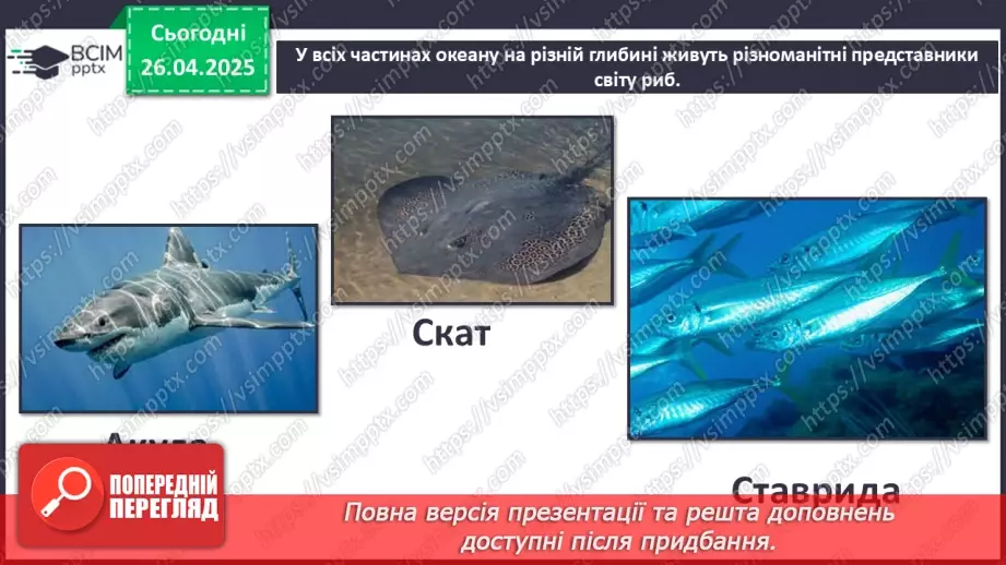 №63 - Чим знаменитий Тихий океан.20