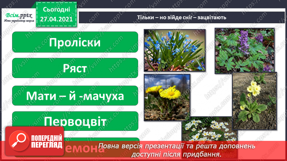 №075 - Як почуваються рослини навесні?6 №075 - Як почуваються рослини навесні?6