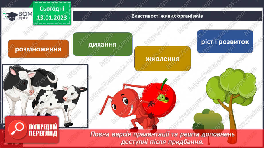 №38 - Організми та їх властивості. Методи дослідження організмів. Висівання і пророщування квасолі.21