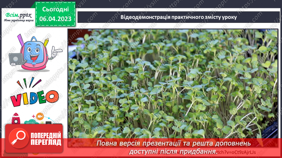 №31 - Виготовлення моделі проростання рослин8 №31 - Виготовлення моделі проростання рослин8
