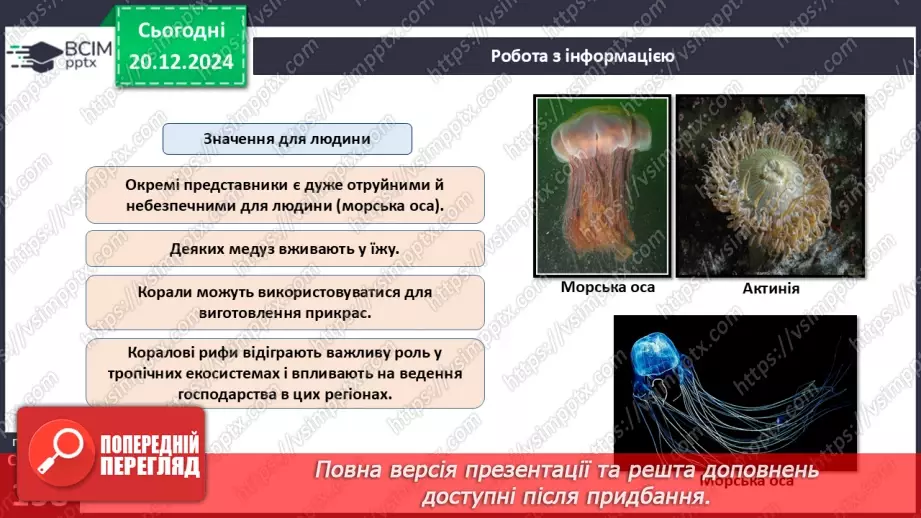 №49 - Губки і Жалкі.20 №49 - Губки і Жалкі.20