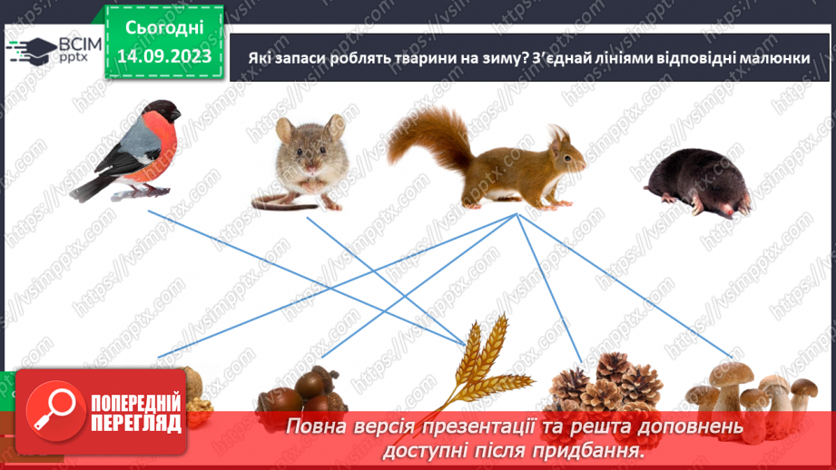 №012 - Тварини восени. Чому до зими потрібно готуватись? Як тварини до зими готуються?28