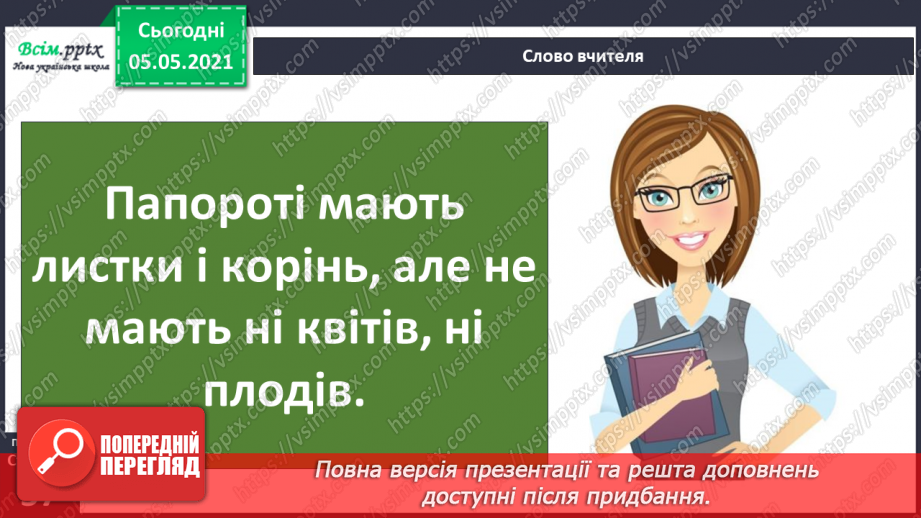 №034 - Папороті.12 №034 - Папороті.12