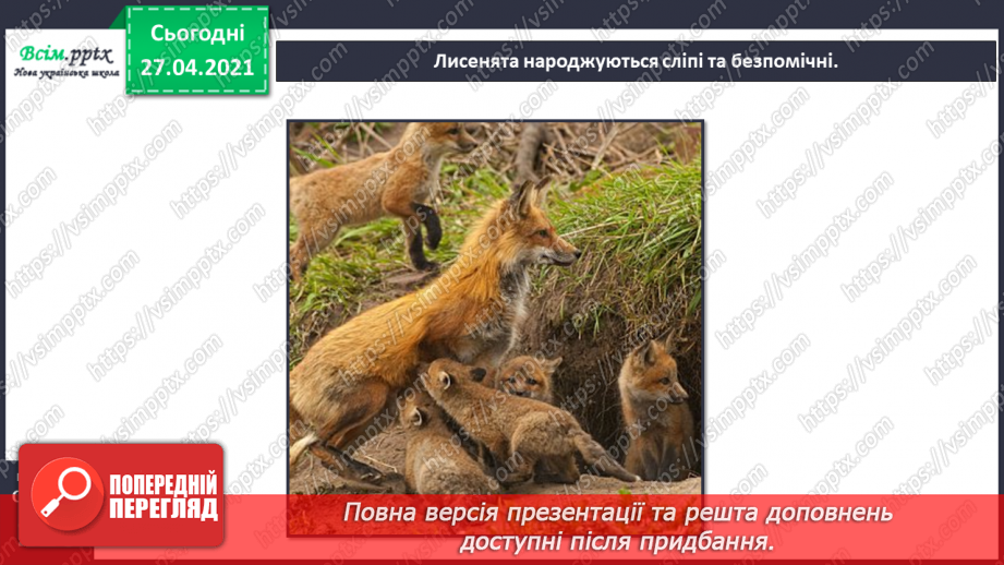 №088-89 - Які турботи приносить весна звірам?17