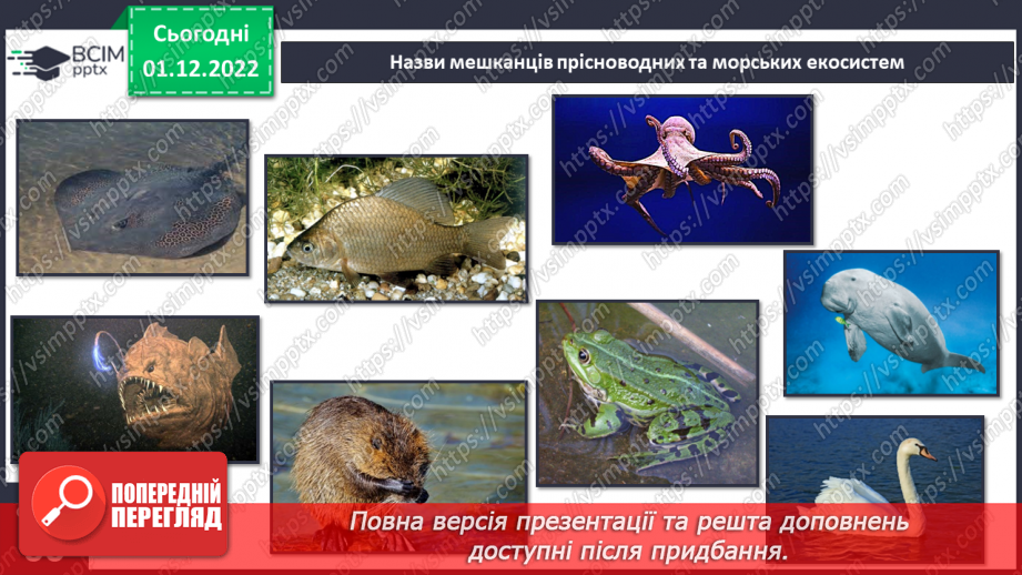 №048 - Мешканці океанів та прісних водойм.33