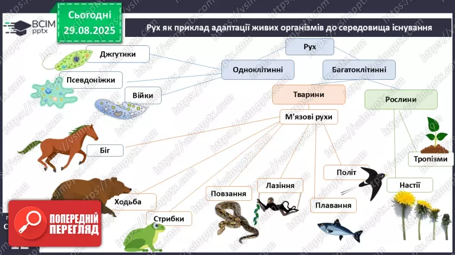 №004 - Рух як властивість живого. Еволюція опорно-рухового апарату хордових тварин.4 №004 - Рух як властивість живого. Еволюція опорно-рухового апарату хордових тварин.4
