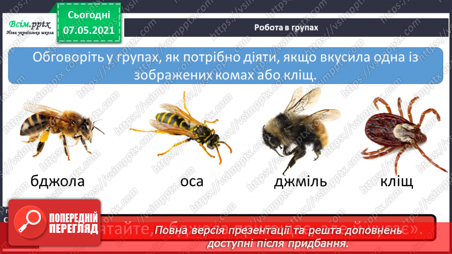 №075 - Як дотримуватися правил безпеки в школі, в побуті, громадських місцях. Як уникнути натовпу. Правила безпечної поведінки з тваринами14