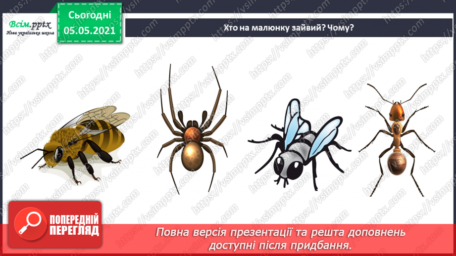 №041 - Різноманітність тварин у природі. Комахи20 №041 - Різноманітність тварин у природі. Комахи20