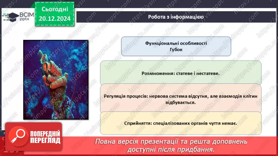 №49 - Губки і Жалкі.15 №49 - Губки і Жалкі.15