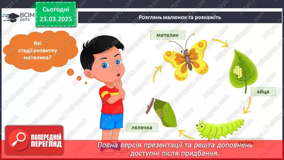 №082 - У світі тварин. Дорослі та дитинчата. Стадії розвитку тварин.15 №082 - У світі тварин. Дорослі та дитинчата. Стадії розвитку тварин.15