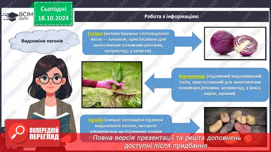№26 - Видозміни вегетативних органів рослин.10 №26 - Видозміни вегетативних органів рослин.10