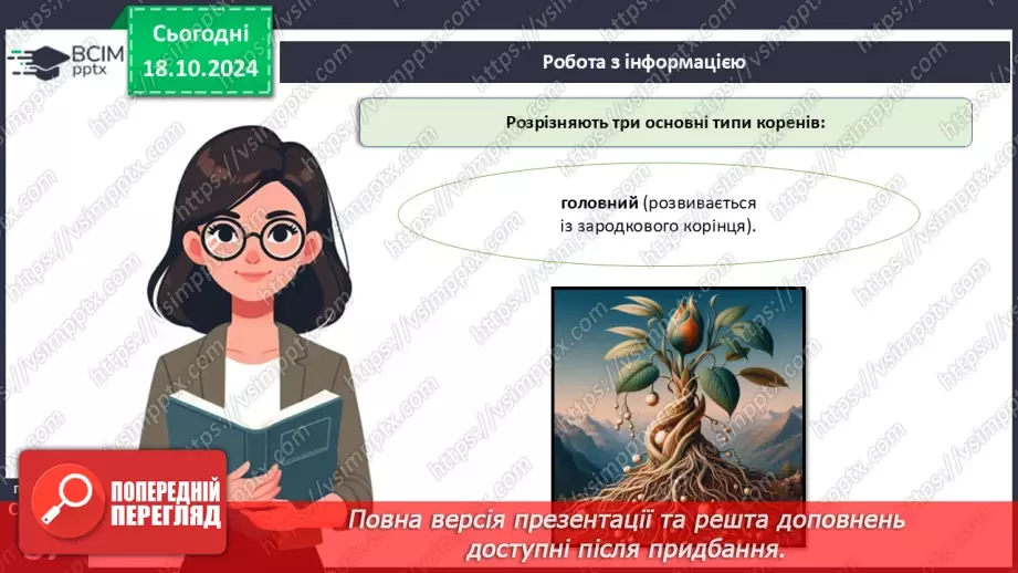 №25 - Вегетативні органи вищих рослин.6 №25 - Вегетативні органи вищих рослин.6