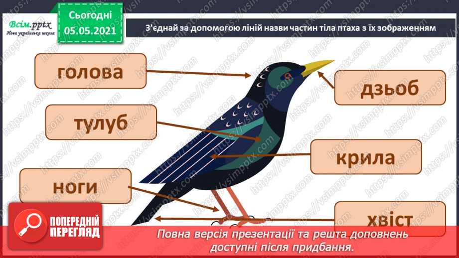 №040 - Птахи.28 №040 - Птахи.28